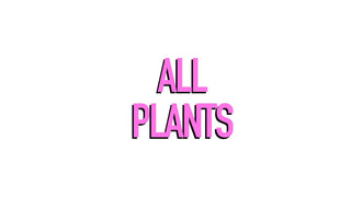 All Plants - Complete Plant Collection - Sydney Premier Wholesale Nursery and Plant Supplier