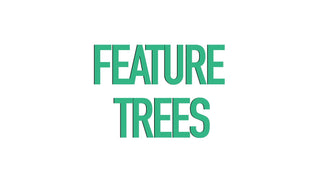 Feature Trees