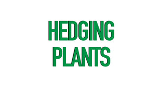 Hedging Plants