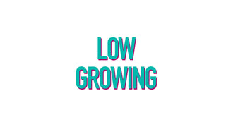 Low Growing Plants