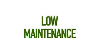 Low Maintenance