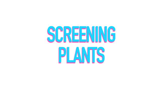 Screening Plants