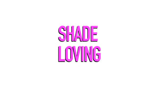 Shade Loving