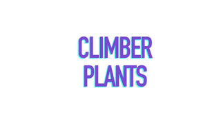 Climbers & Vines