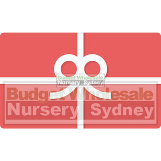 Budget Nursery Gift Card