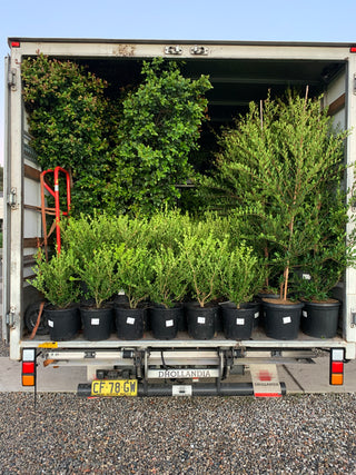 Delivery load. From small to large orders