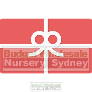 Budget Nursery Gift Card