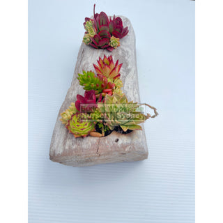 Succulent Log Large (Between 300Mm And 370Mm Long X Approx 150Mm)